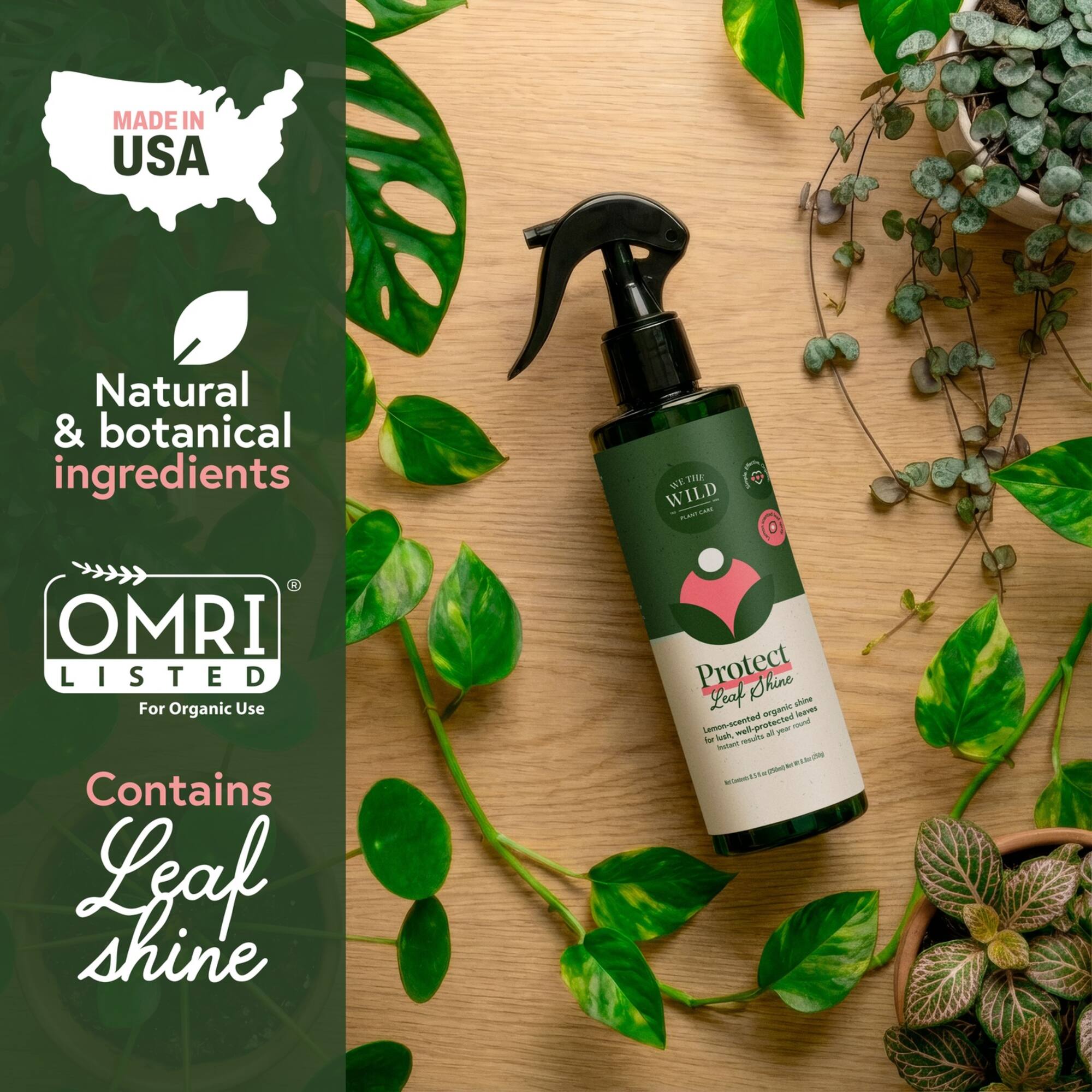 We The Wild™ 8.5oz. Protect Spray Organic Botanical Leaf Shine & Care for Houseplants